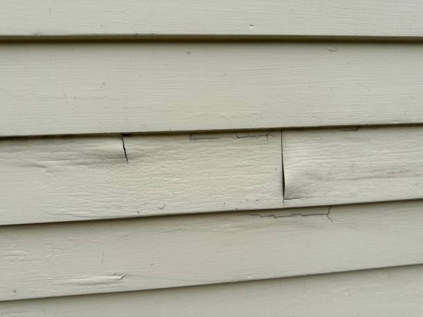Best Engineered Wood Siding  in Maricopa, AZ